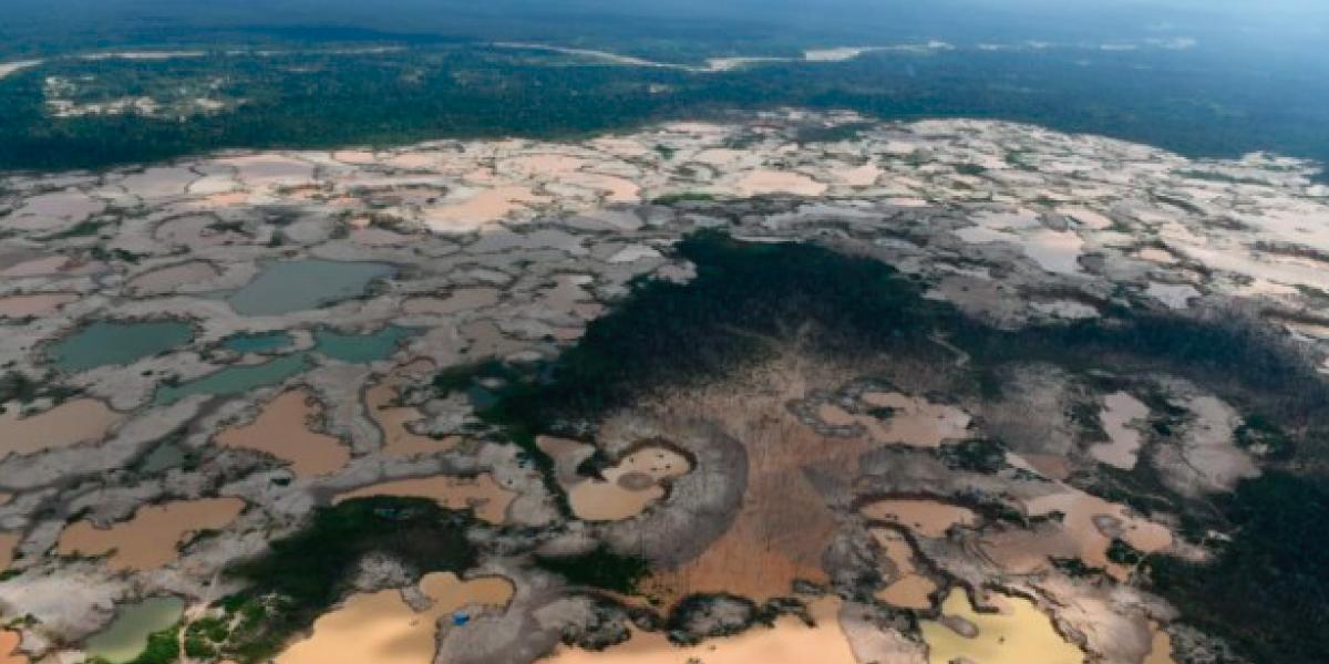 Destrucción en la Amazonía estas son las cinco regiones del Perú con mayor deforestación en el 2018