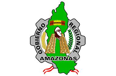 GOBIERNO REGIONAL DE AMAZONAS